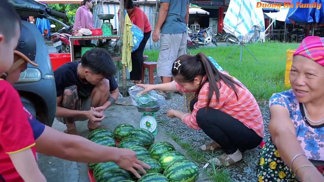 Recipe for Making Watermelon Juice with My Family &ndash; Harvesting Watermelons to Sell &ndash; Happy Family