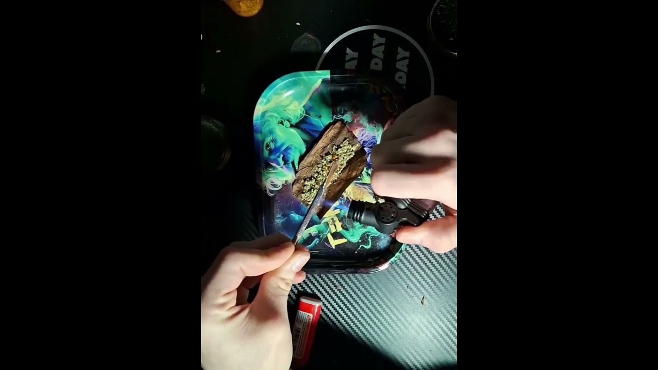 infused backwood #backwoods #rolling #infused  #stoned