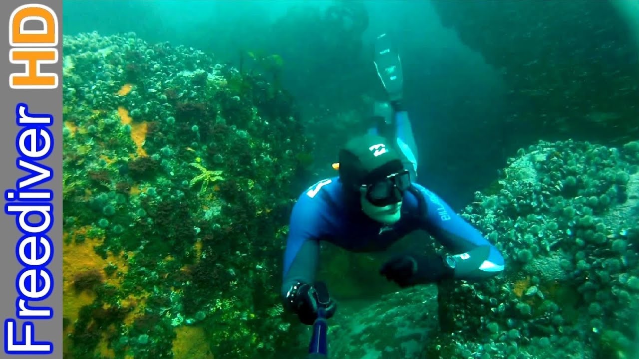 Freediving Cape Town - Sandy Cove