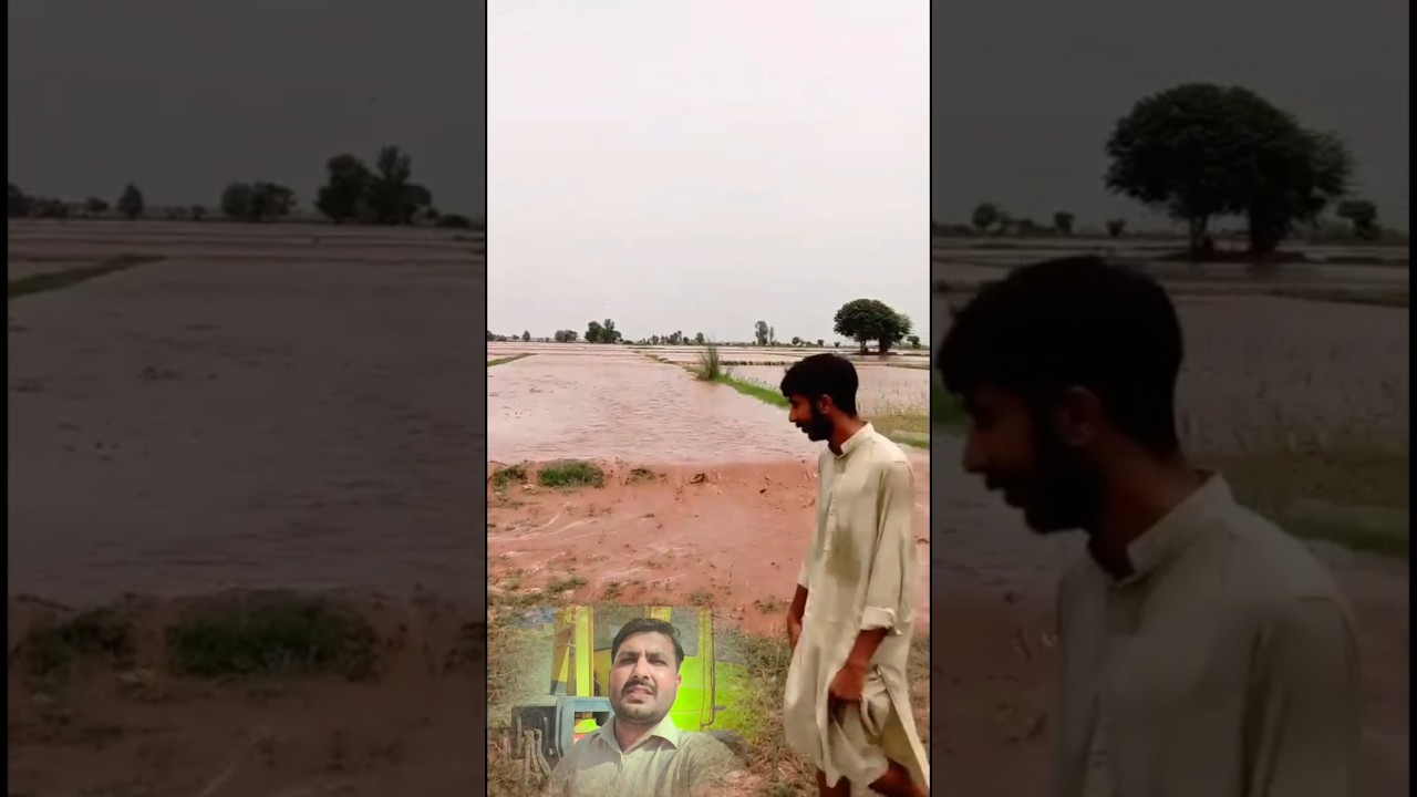 Flood water coming near village in Punjab Sutlej darya min india ne pani chhod diya ziyadah #water