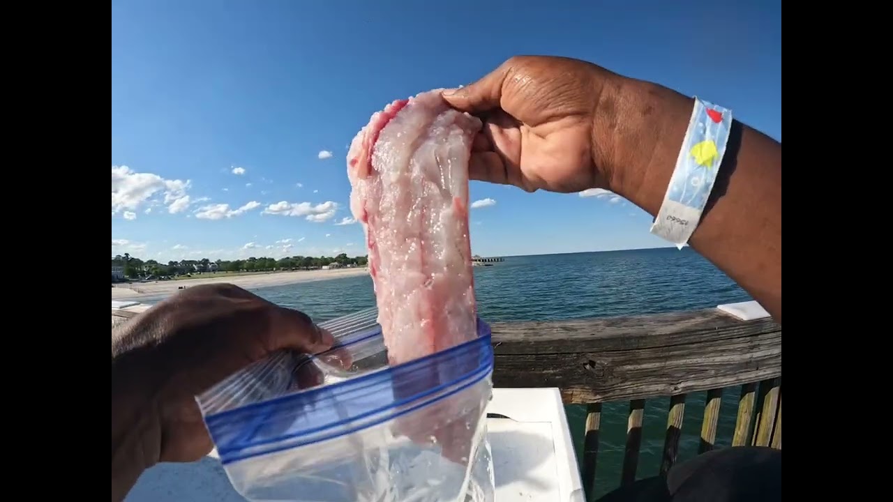 How to Catch Red Drum  (Buckroe Fishing Pier)