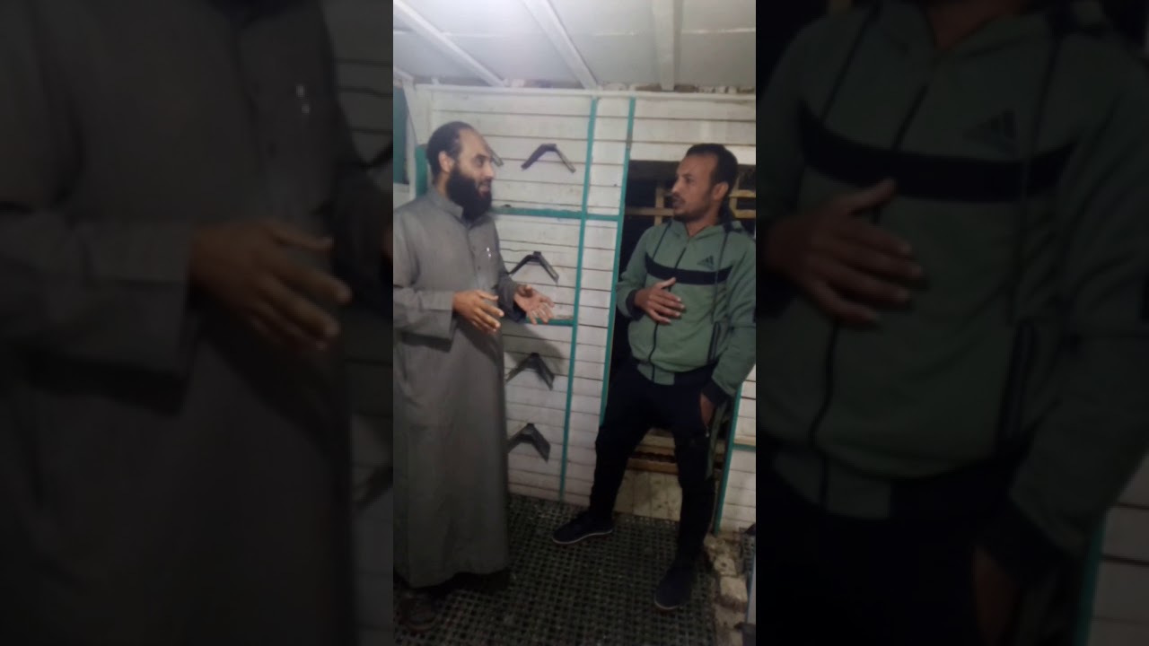 لقاء مع سما الفيوم  البطل ابو سما بطل سباق قبلى