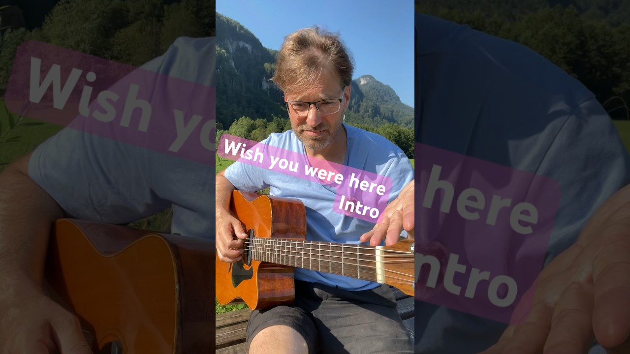 Ich zeig dir wish you were here #gitarrelernenonline #lernenmitspa&szlig; #akustiklernen #gitarrentutorial