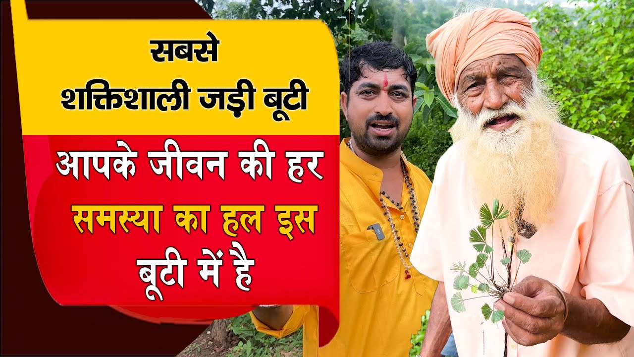 part 3 सबसे शक्तिशाली जड़ी बूटी | आपके जीवन का हर समस्या का हल इस बूटी में है Most Powerful Herbs