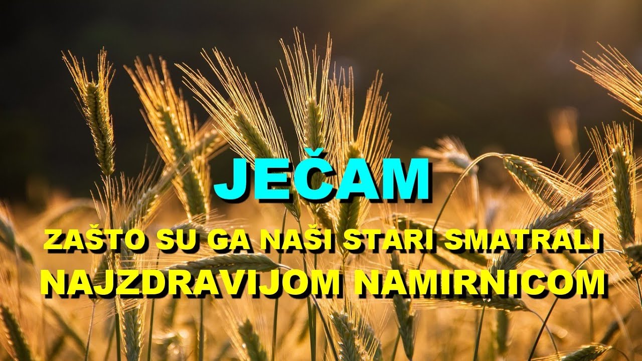 JEČAM - ZA&Scaron;TO Su Ga NA&Scaron;I STARI SMATRALI NAJZDRAVIJOM NAMIRNICOM