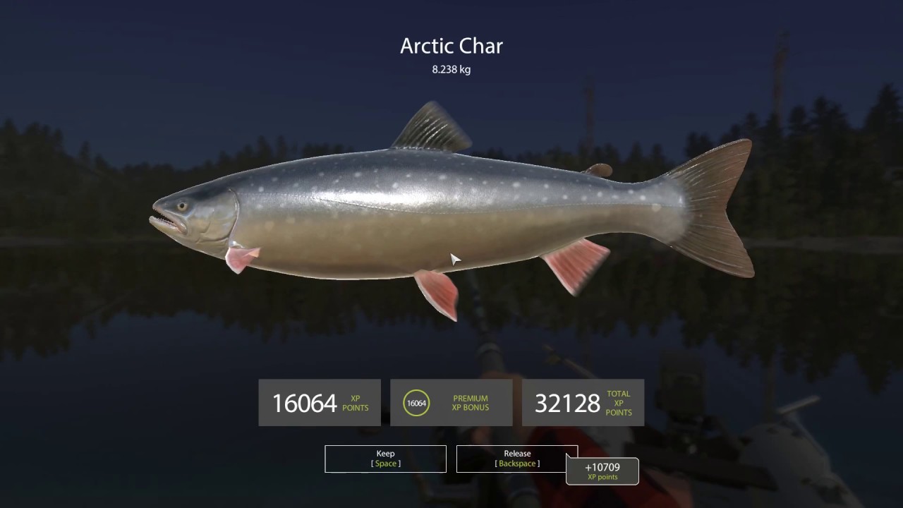 Russian Fishing 4 - Arctic Char