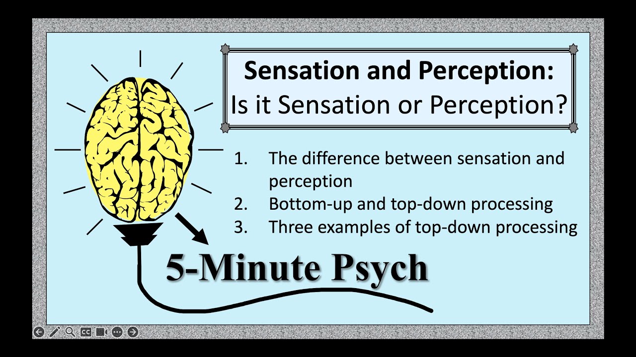 Is It Sensation or Perception?