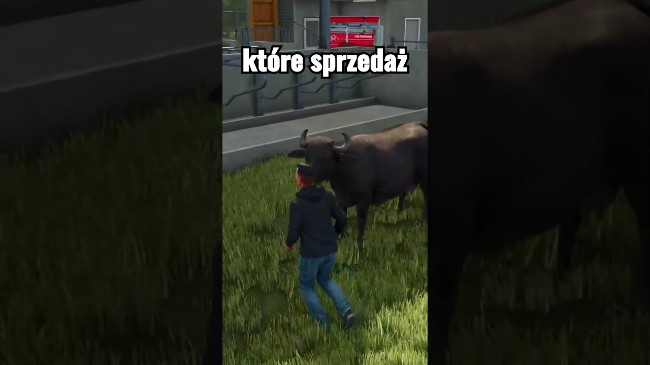 Krowy czy bawoły, co bardziej opłaca się w FS25? 🐄🐂