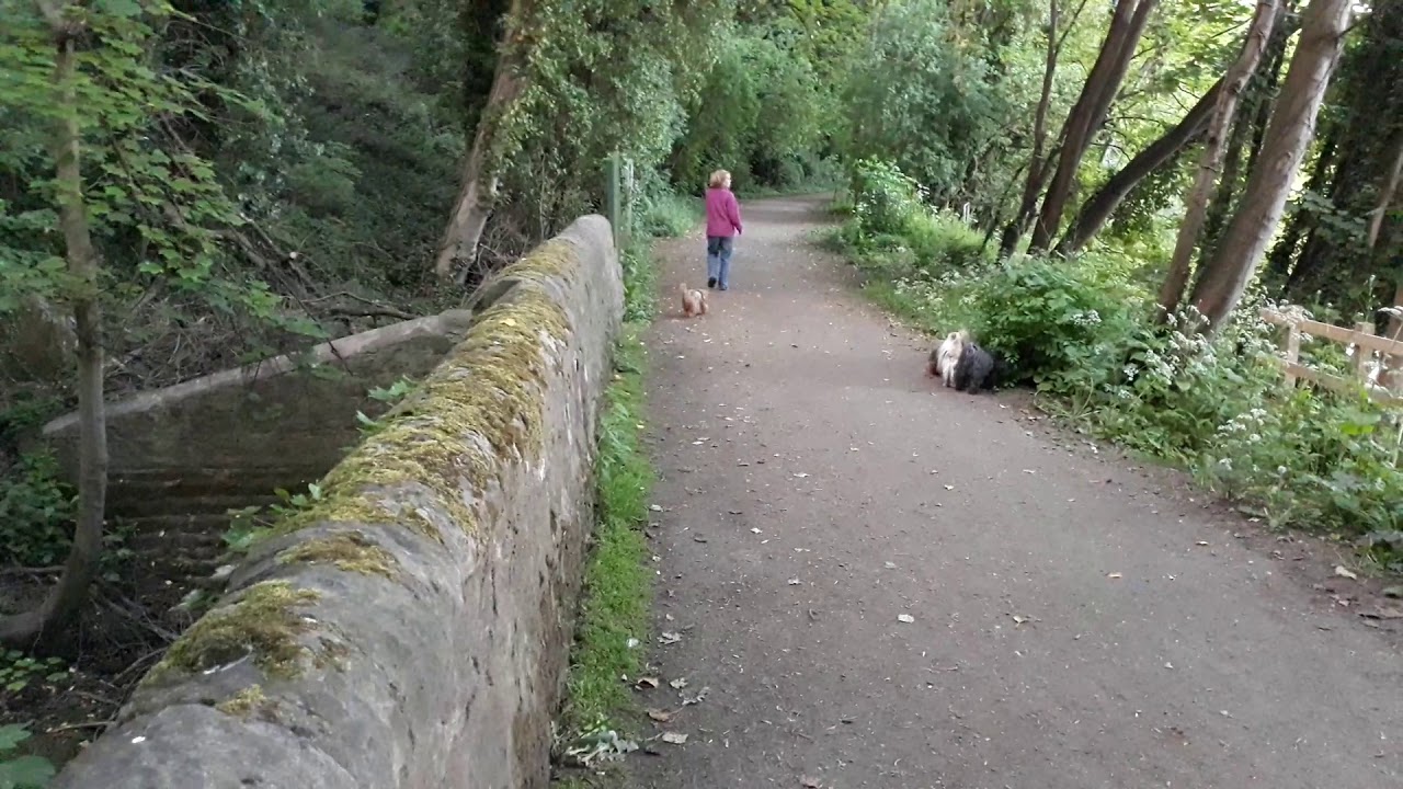 Sprotbrough Lock River Don Walk Doncaster South Yorkshire UK