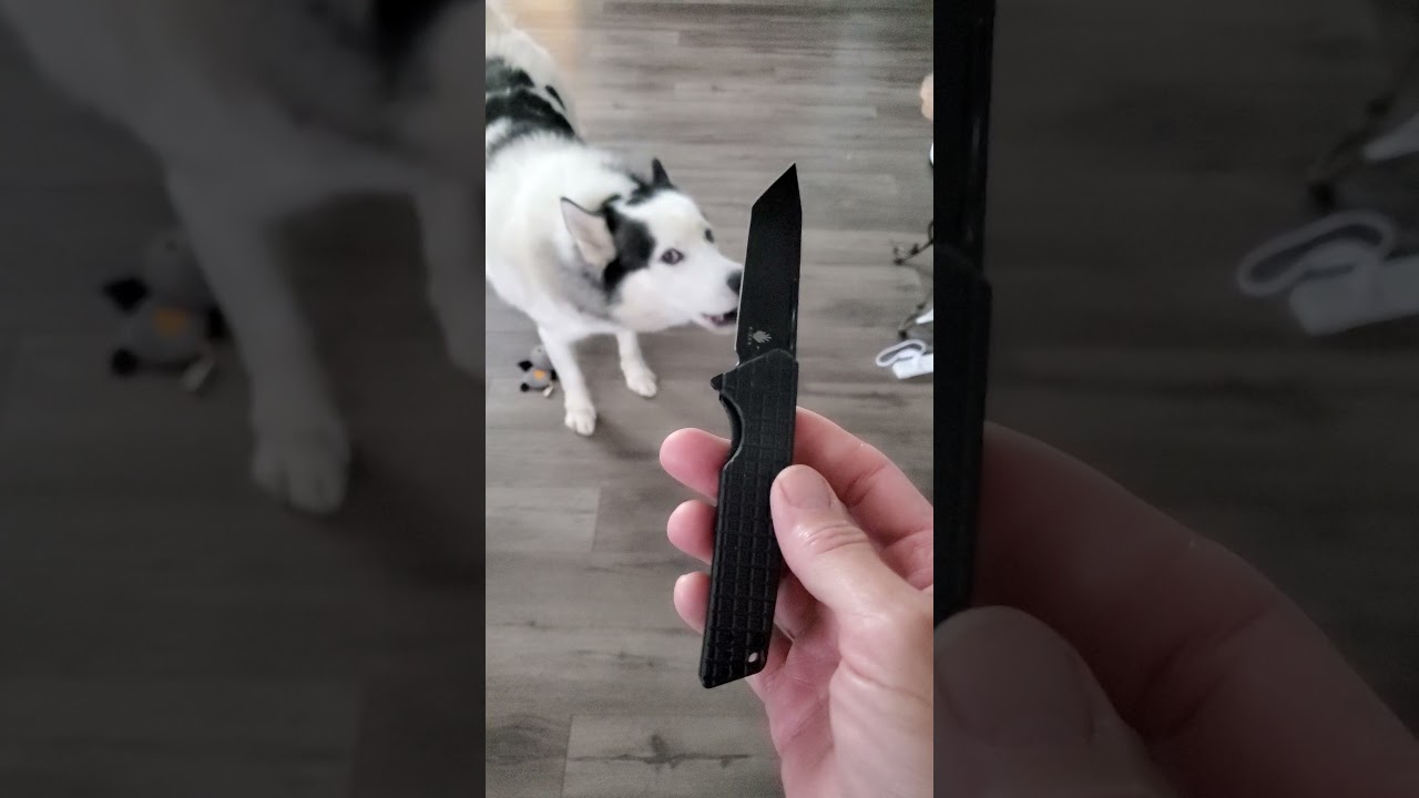 Koda's review Kizer Lan ( black Micarta)