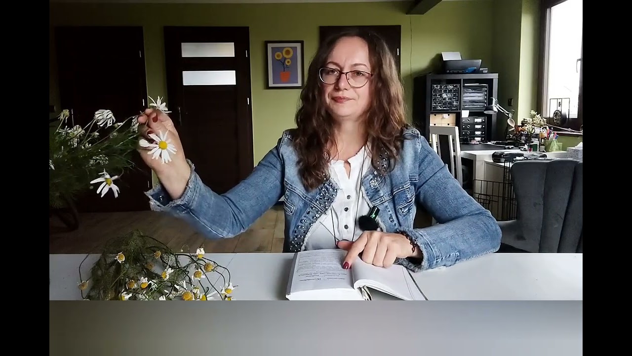 Maruna bezwonna a rumianek pospolity. Porównanie. Botanika. Oznaczanie gatunku za pomocą klucza.