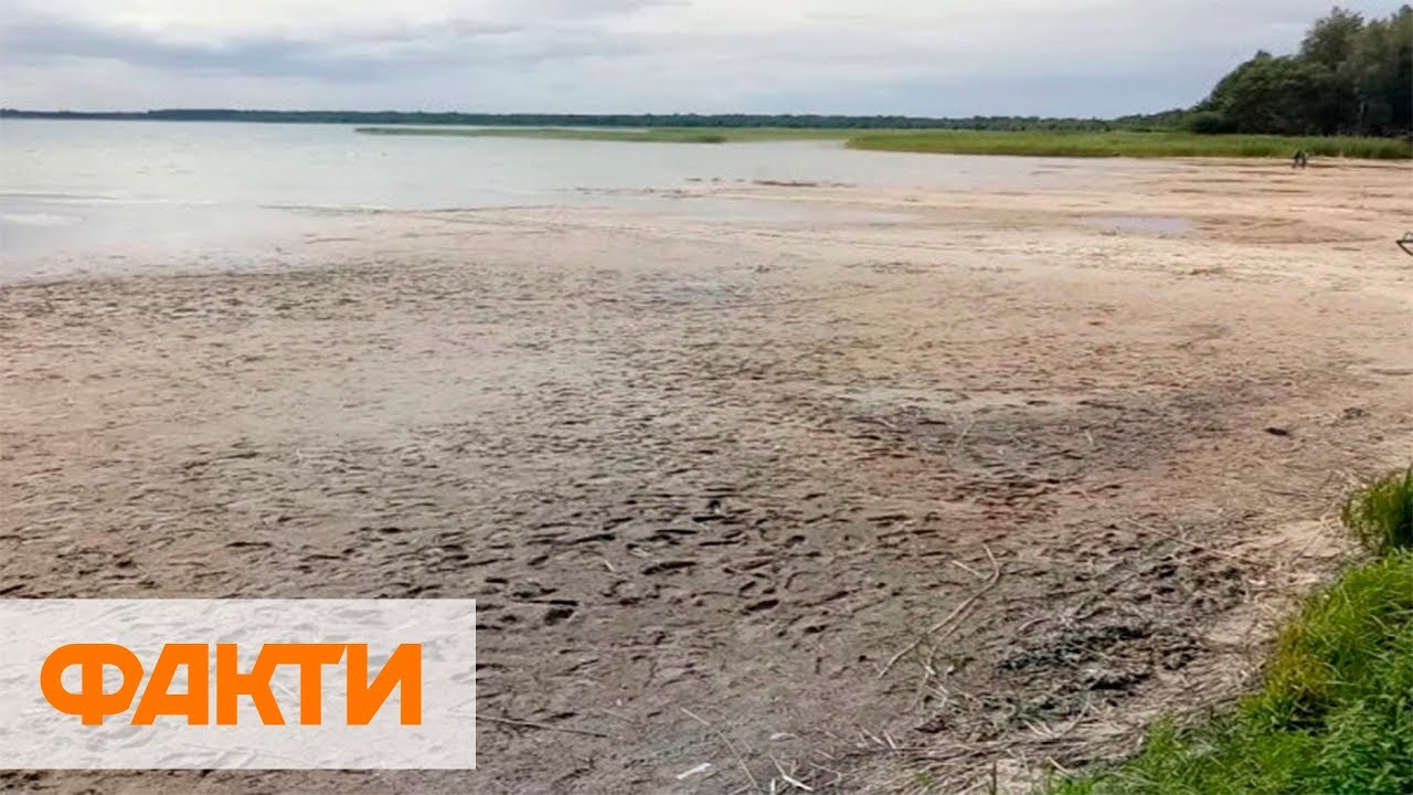 Самое глубокое озеро Украины Свитязь стремительно теряет воду - причины