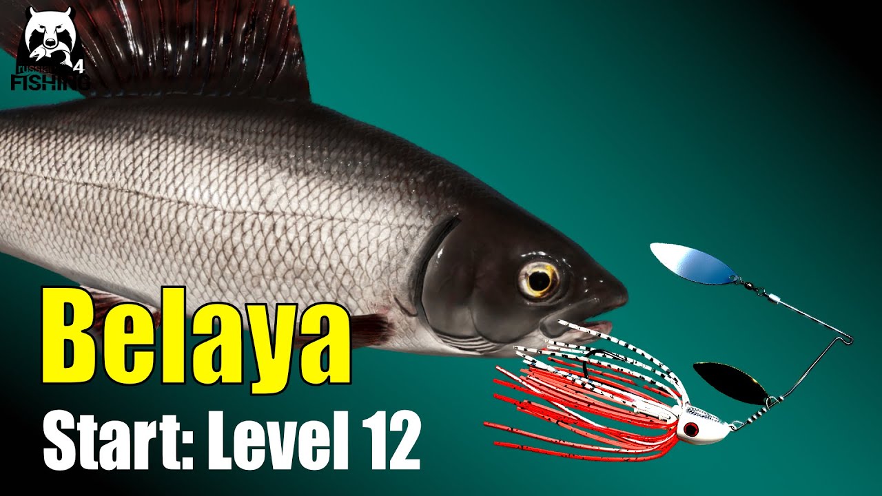 Russian Fishing 4 - Belaya River - Start Setup! Spinnerbaits! From Level 12 Spinning on the Belaya