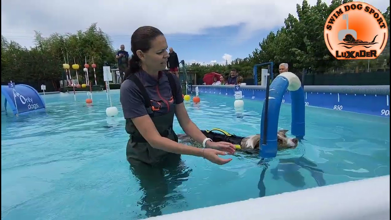 Swim dog sport doppia gara Terni 5-6.agosto 2023 (Rysa, Lyxi e Sky)