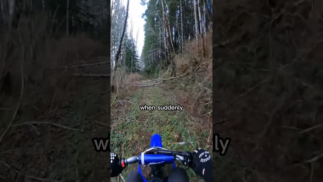 Крики о помощи из леса @motowens #страшно #паранормально