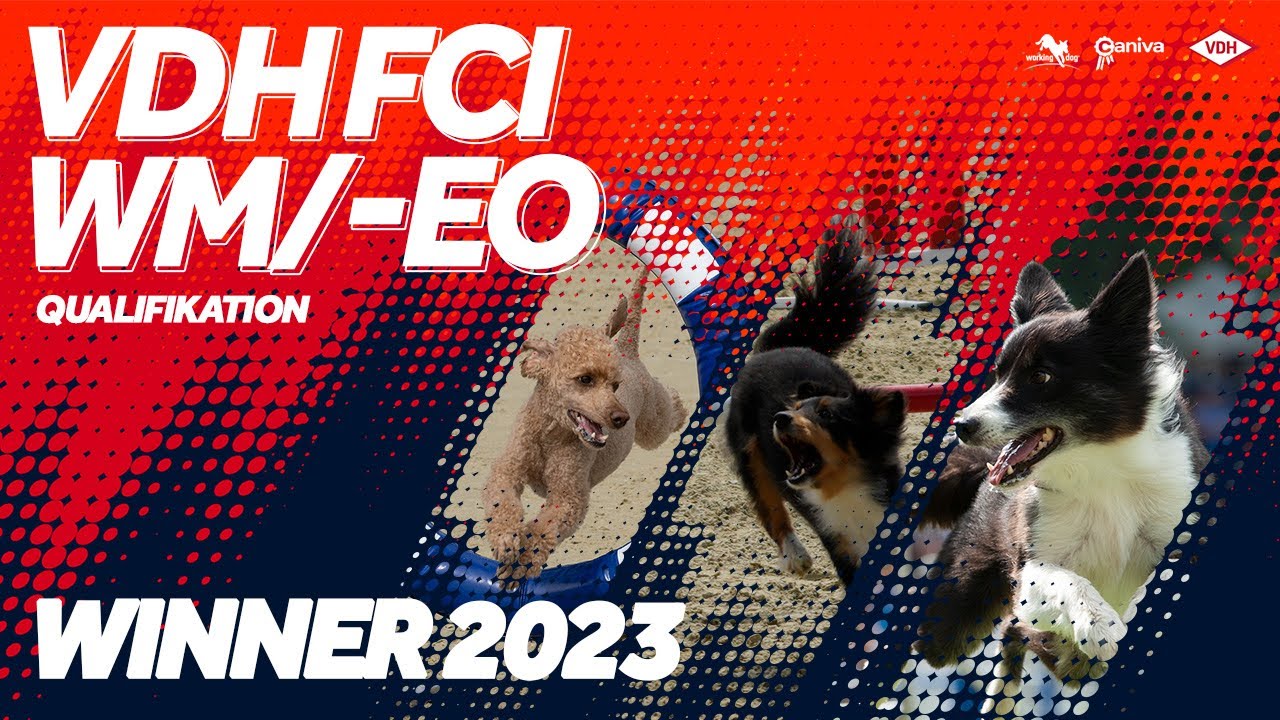 VDH FCI-WM/-EO Qualifikation Agility 5./6. Lauf Small/Medium/Intermediate/Large + Finale 2023
