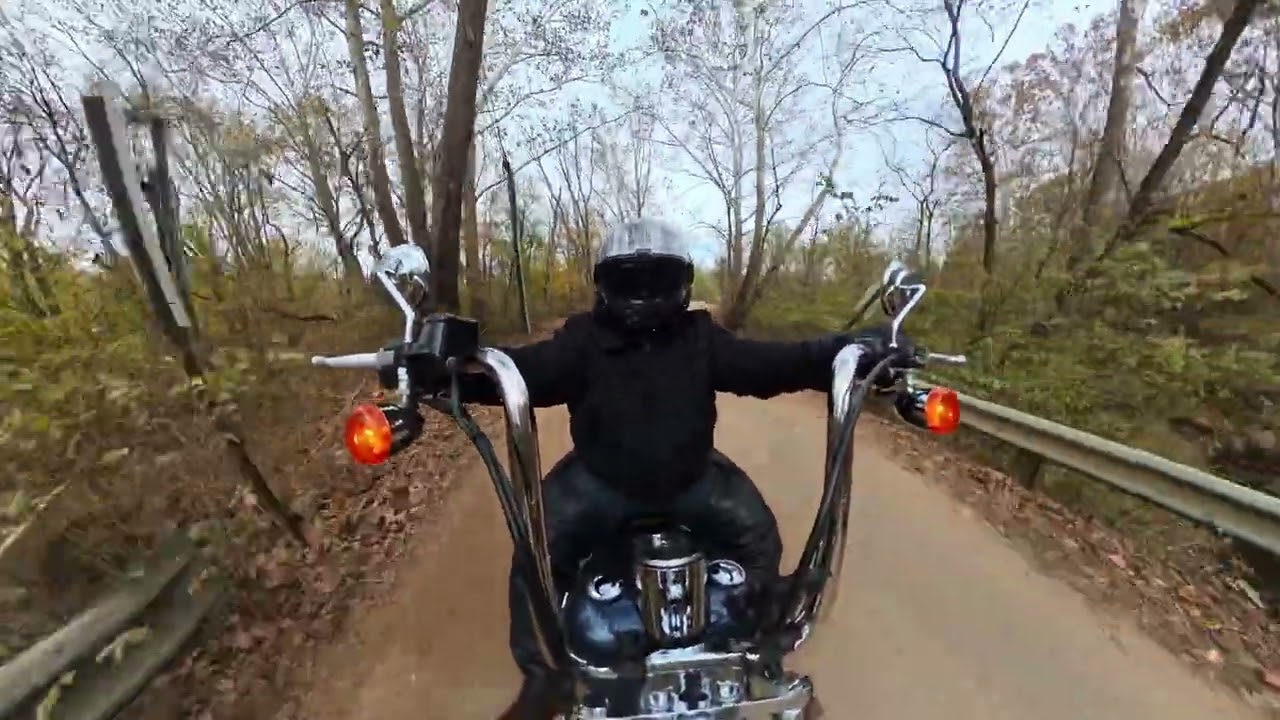 Fall ride on Softail Standard