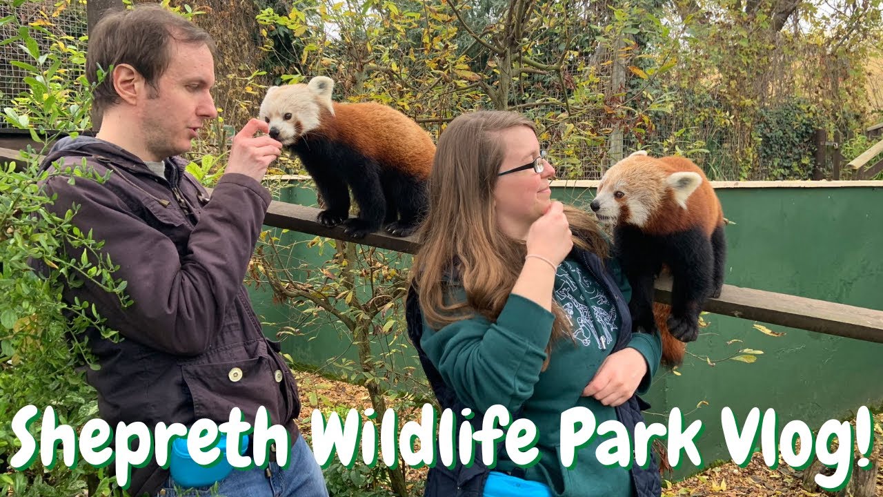 VLOG Meeting Red Pandas and Aardvarks! | Shepreth Wildlife Park | TheParrotTeacher