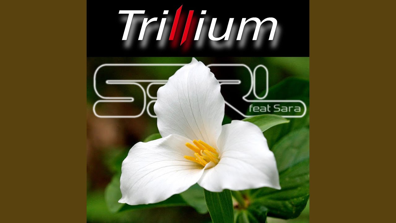 Trillium (feat. Sara)