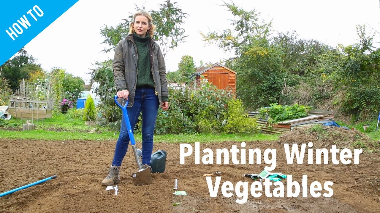 How To Plant Winter Vegetables