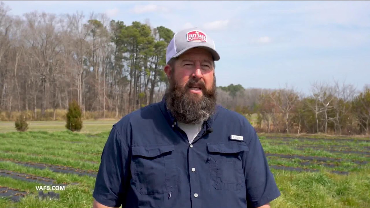 Chesterfield County Live Stream