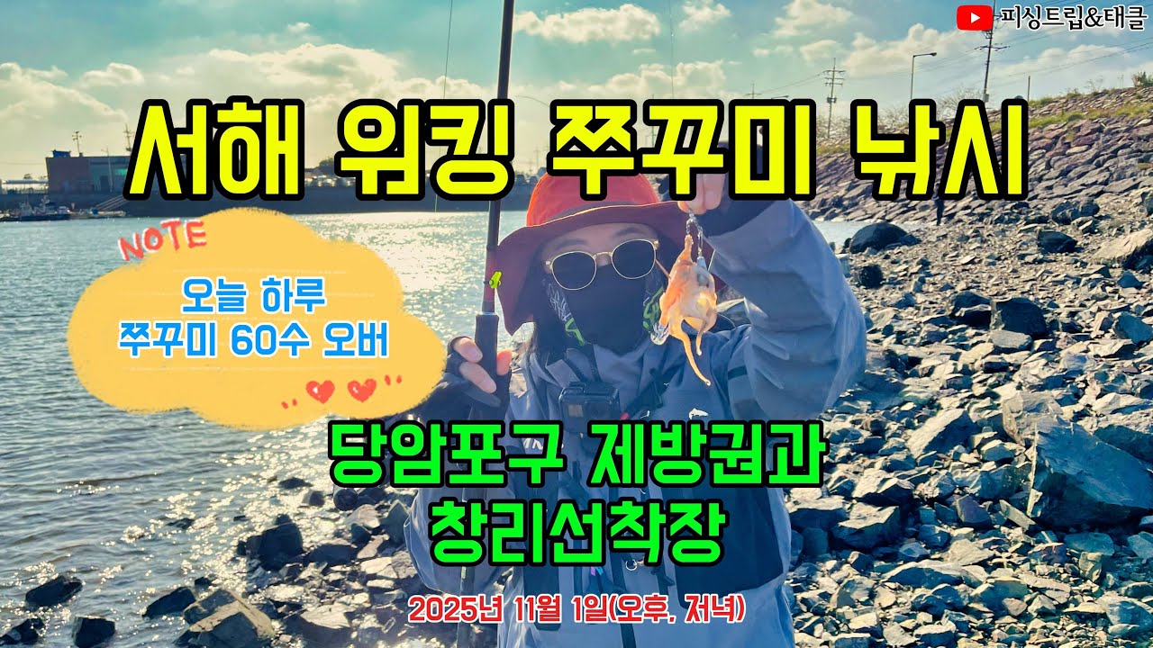 서해 워킹 쭈꾸미 낚시 | 당암포구 제방권과 창리선착장 #서해 #워킹쭈꾸미낚시 #워킹쭈꾸미포인트 #당암포구 #창리선착장