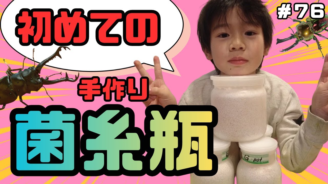 初めての手作り菌糸瓶！【ひーちゃんねる76】#菌糸瓶#自作#手作り#ニジイロクワガタ#ギラファノコギリクワガタ #昆虫飼育#小学生のリアル昆虫飼育日記