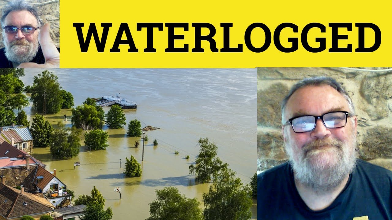 😎 Waterlogged Meaning - Waterlog Defined - Waterlogged Examples - Waterlog Definition - Waterlogging