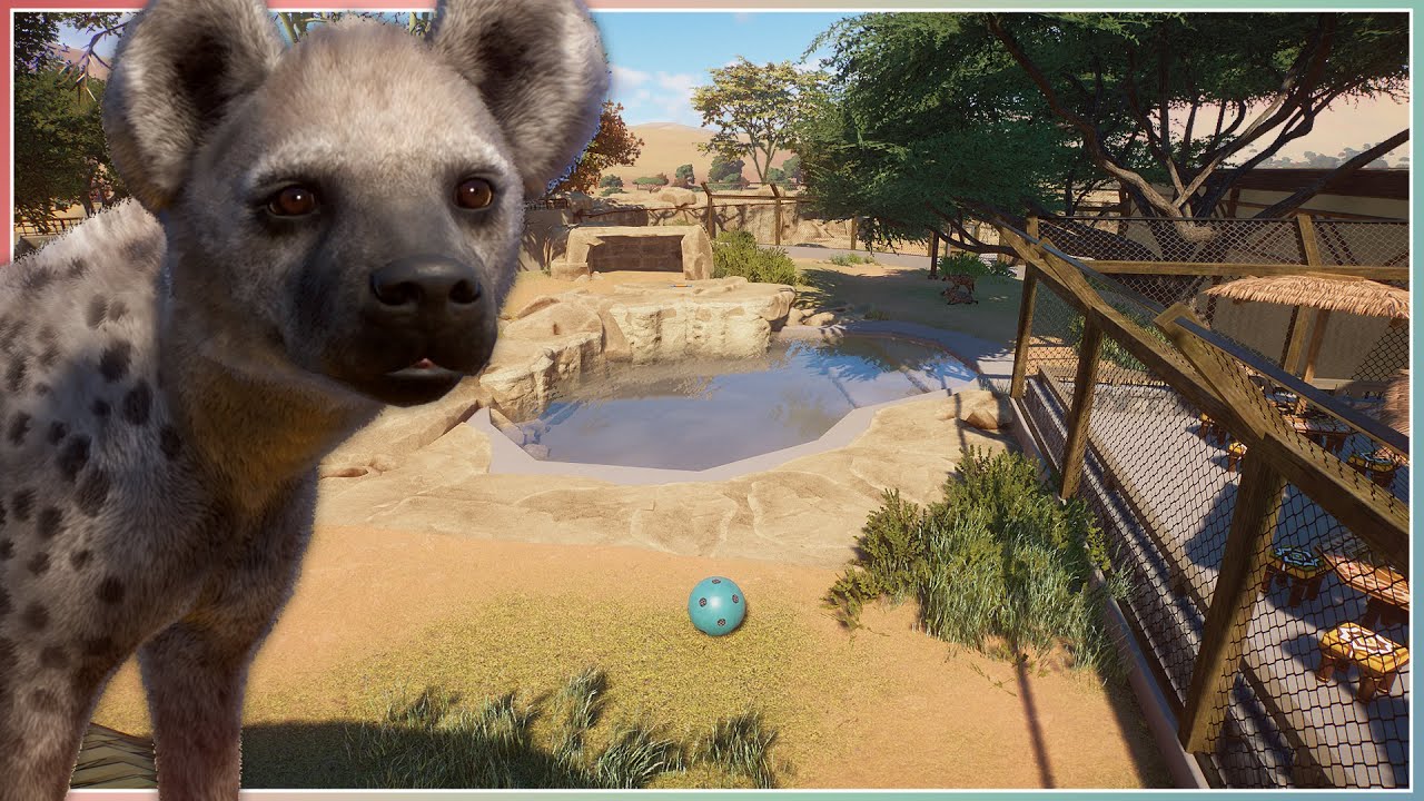 Spotted Hyena Habitat | Planet Zoo Speed Build