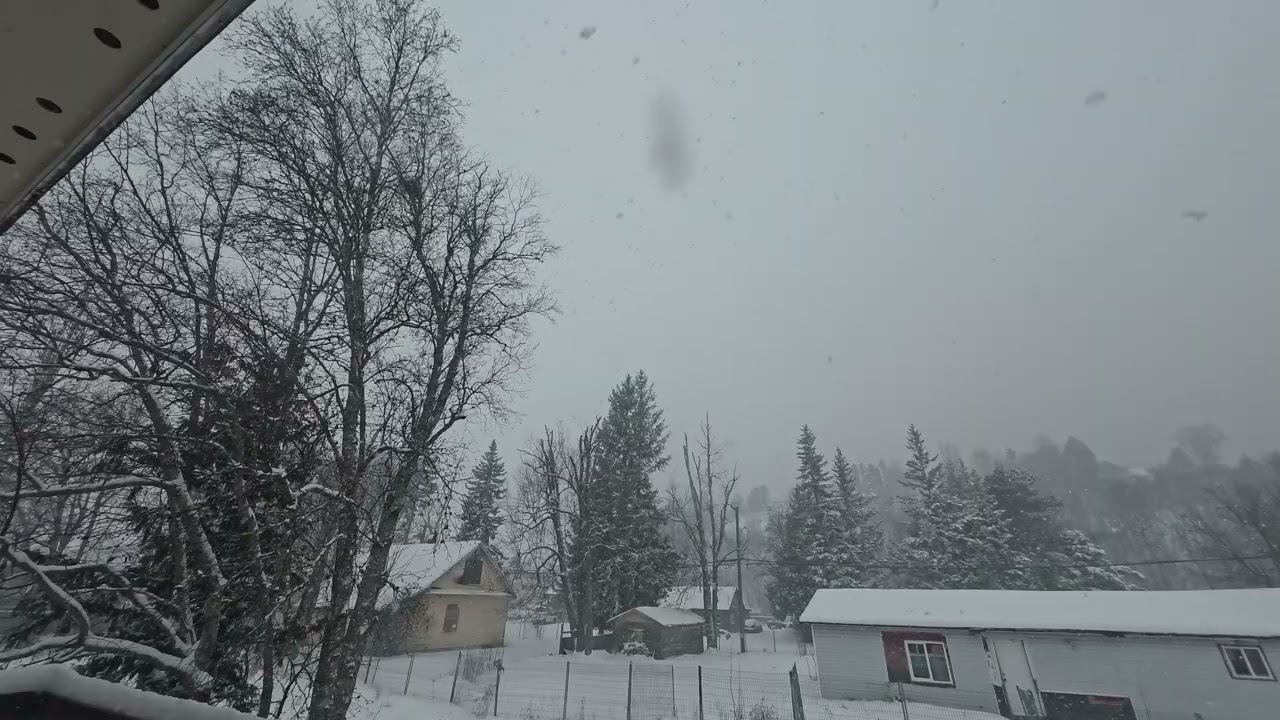 Snow #pace #snow #quiet