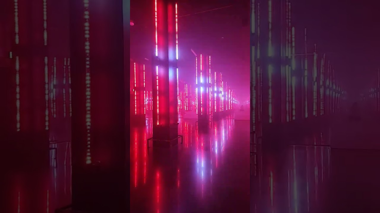 2025 Area15 Museum Fiasco