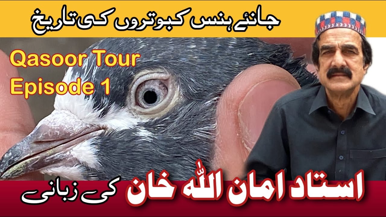 Ustad Amman Ullah Qasoor Tour