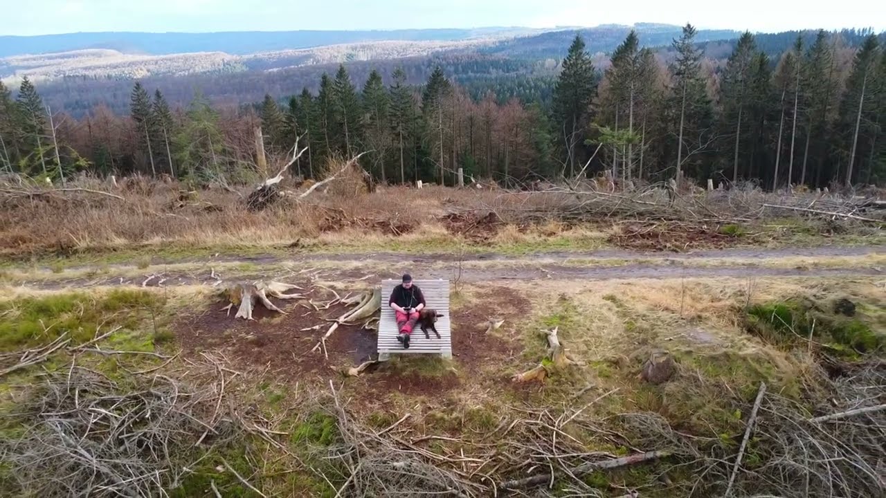 Ith-Hils-Weg - Hilskammweg - Feuerschneisenh&uuml;tte aus der Luft - DJI Mini 2 SE im Februar 2024