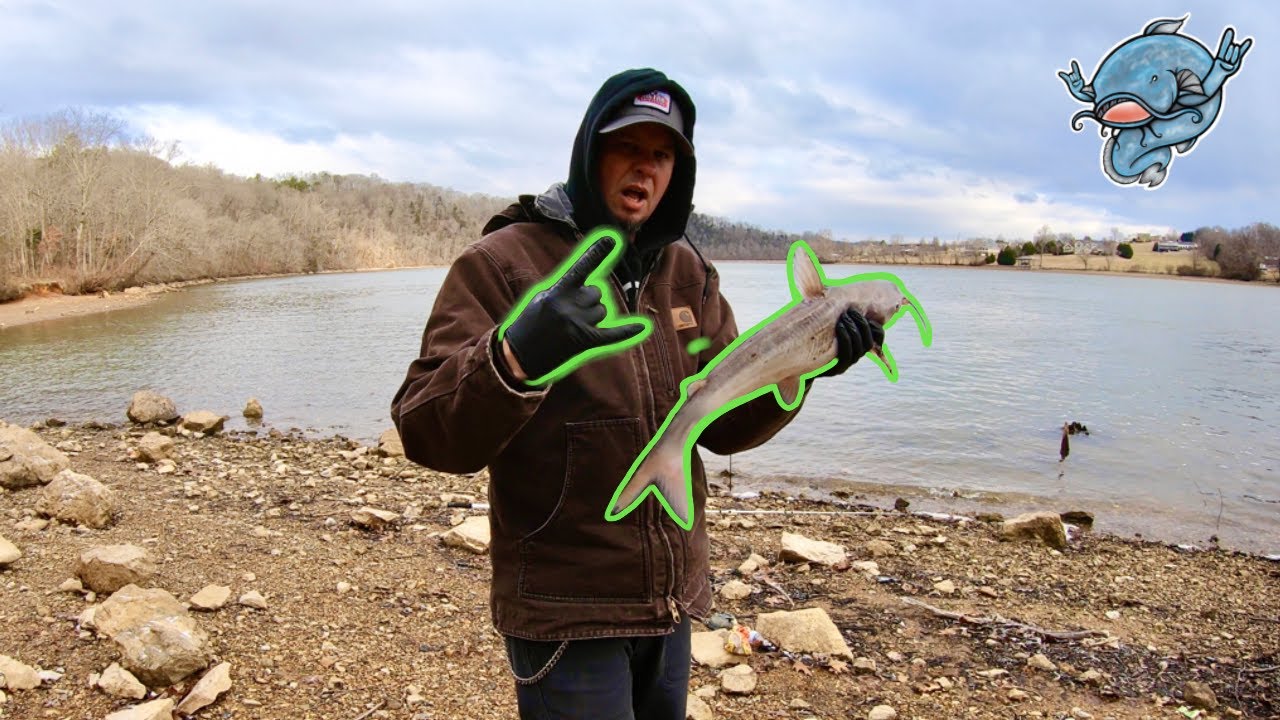 Bank catfishing on a river bend
