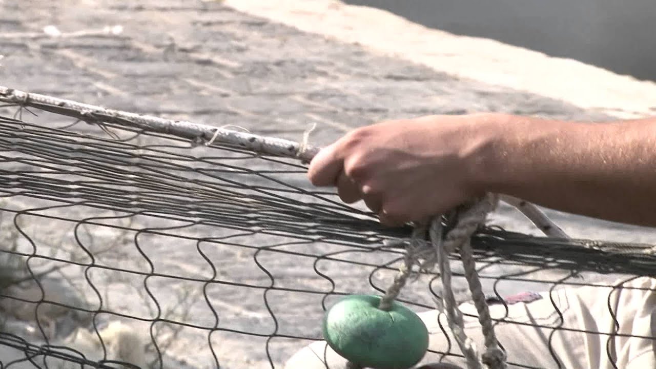 Il mercato del pesce di Sciacca