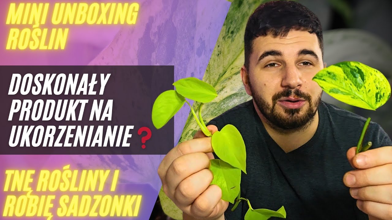 Robię sadzonki | TEST magicznego ukorzeniacza ❓️|  UNBOXING ROŚLIN 🌿