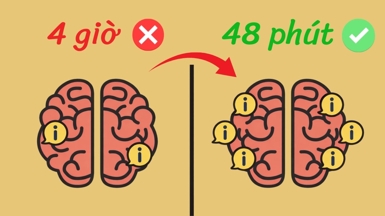Cách mình “THAO TÚNG” bộ não để học nhanh hơn GẤP 10 LẦN