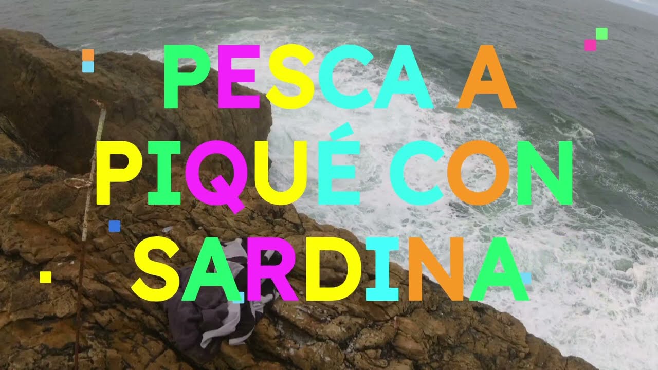 pesca a piqué con sardina