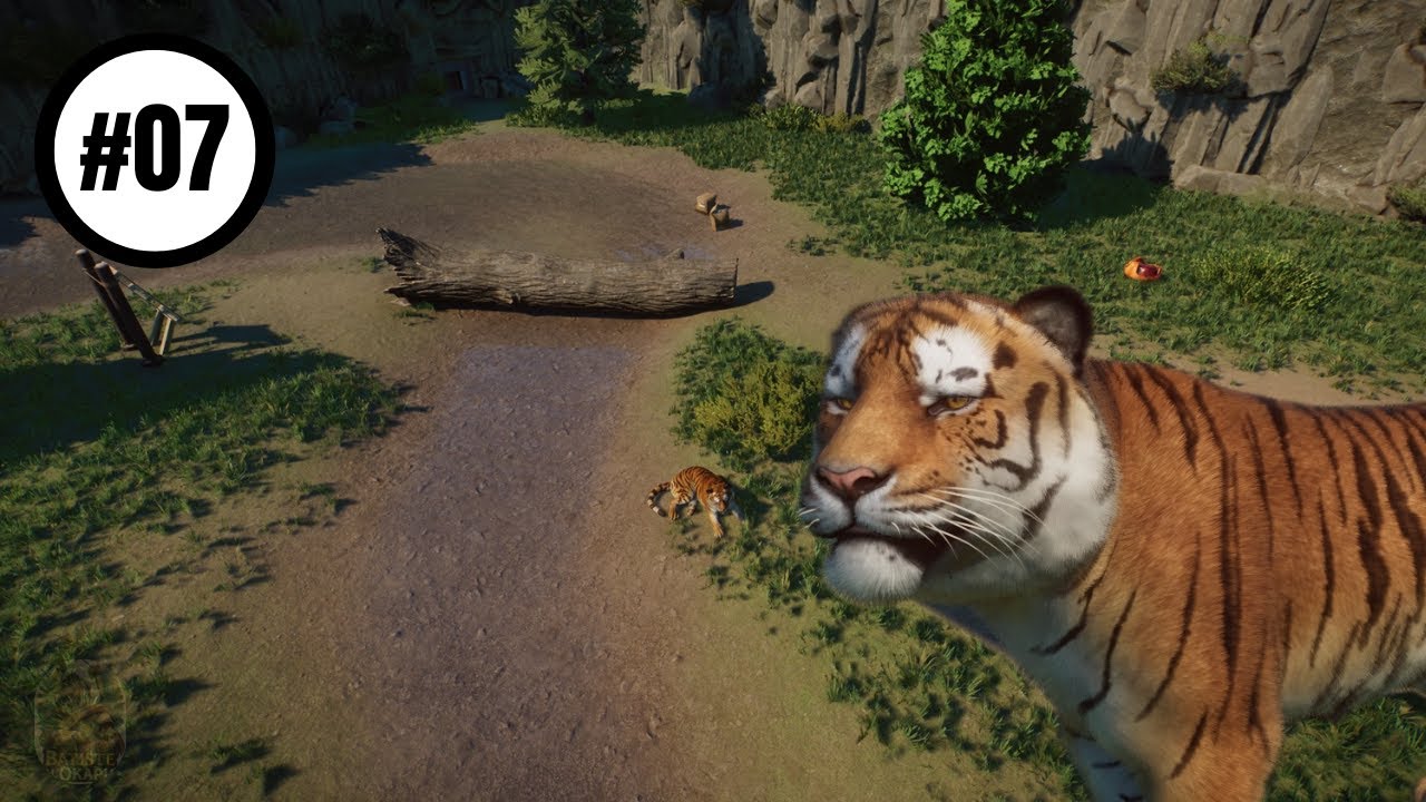 Parco Faunistico della Zebra Reale #07 - Enclos des tigres de Sibérie - Planet Zoo