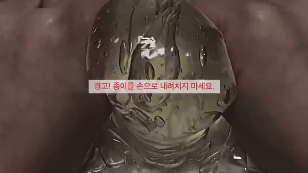 [Trigger warning]_나폴리탄괴담 • 스무 고개를 좋아하십니까? • 시액 액시 액괴시리즈 소름돋는 이야기 고딕시리즈 단편 레딧괴담 소름썰 은채 서우님 영상