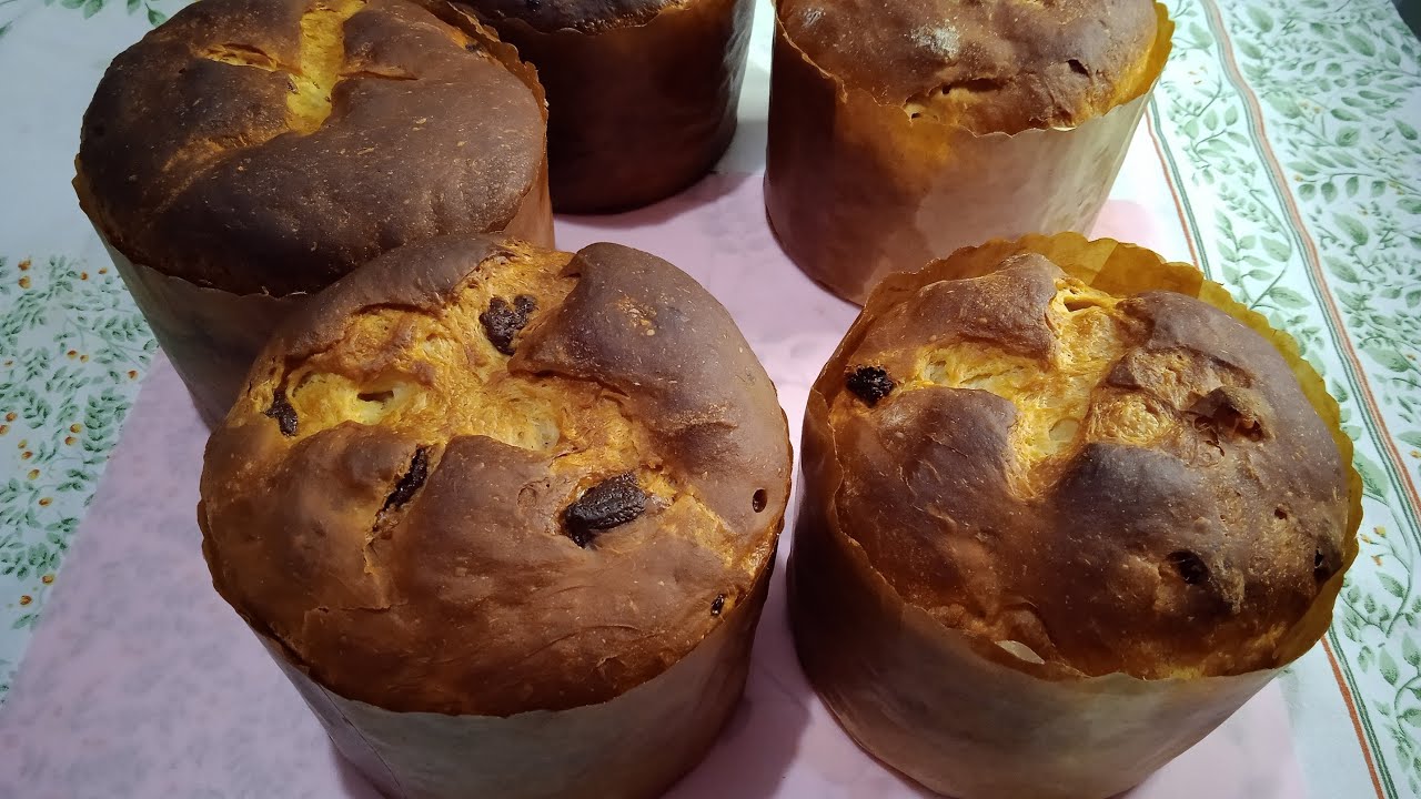 Panetones e Chocotones de Fermentação Natural ( Levain ) 100%.Fácil!