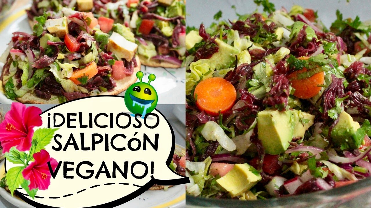 ¡¡EL SALPICÓN MAS SABROSO QUE HAYAS PROBADO Y VEGANO!! -Transición Vegana