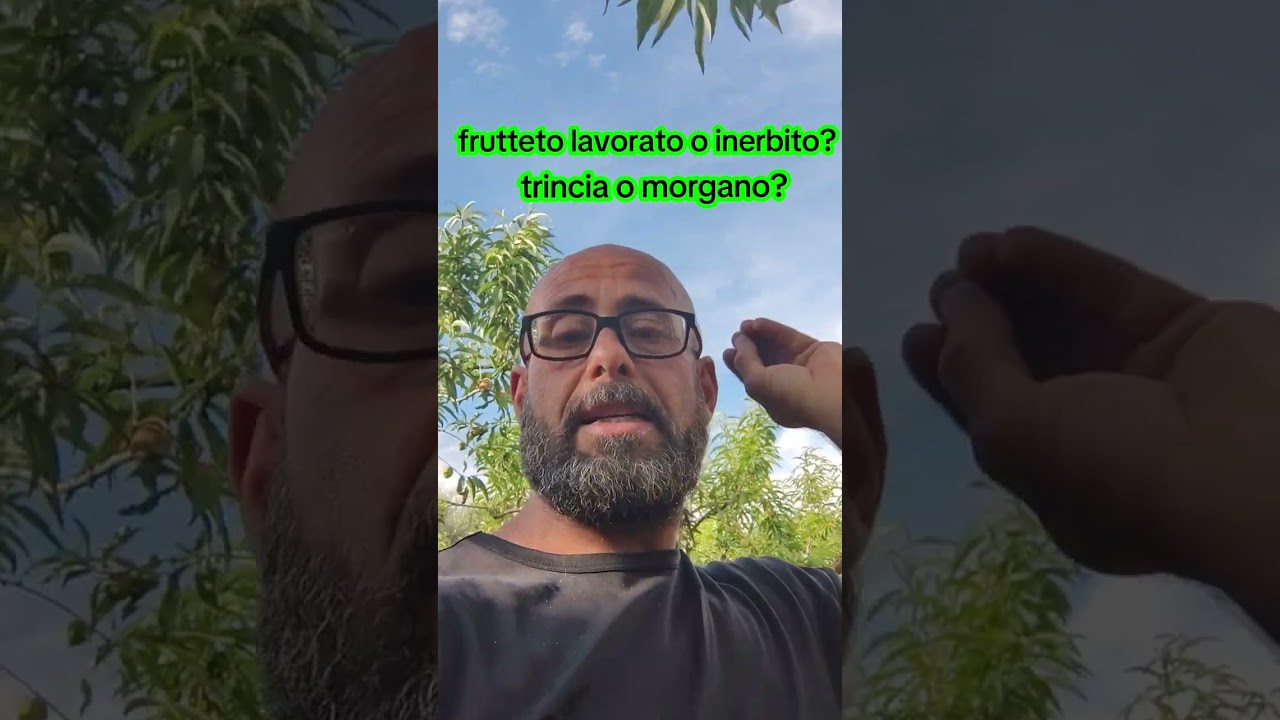 Frutteto lavorato o inerbito? Trincia o morgano?