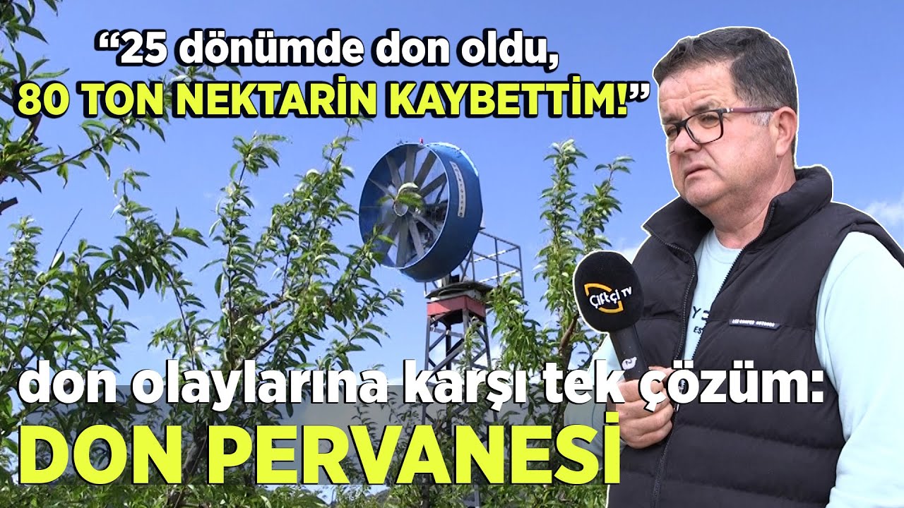 Don Olaylarına Karşı Tek Çözüm: DON PERVANESİ / “25 dönümde don oldu, 80 ton nektarin kaybettim!