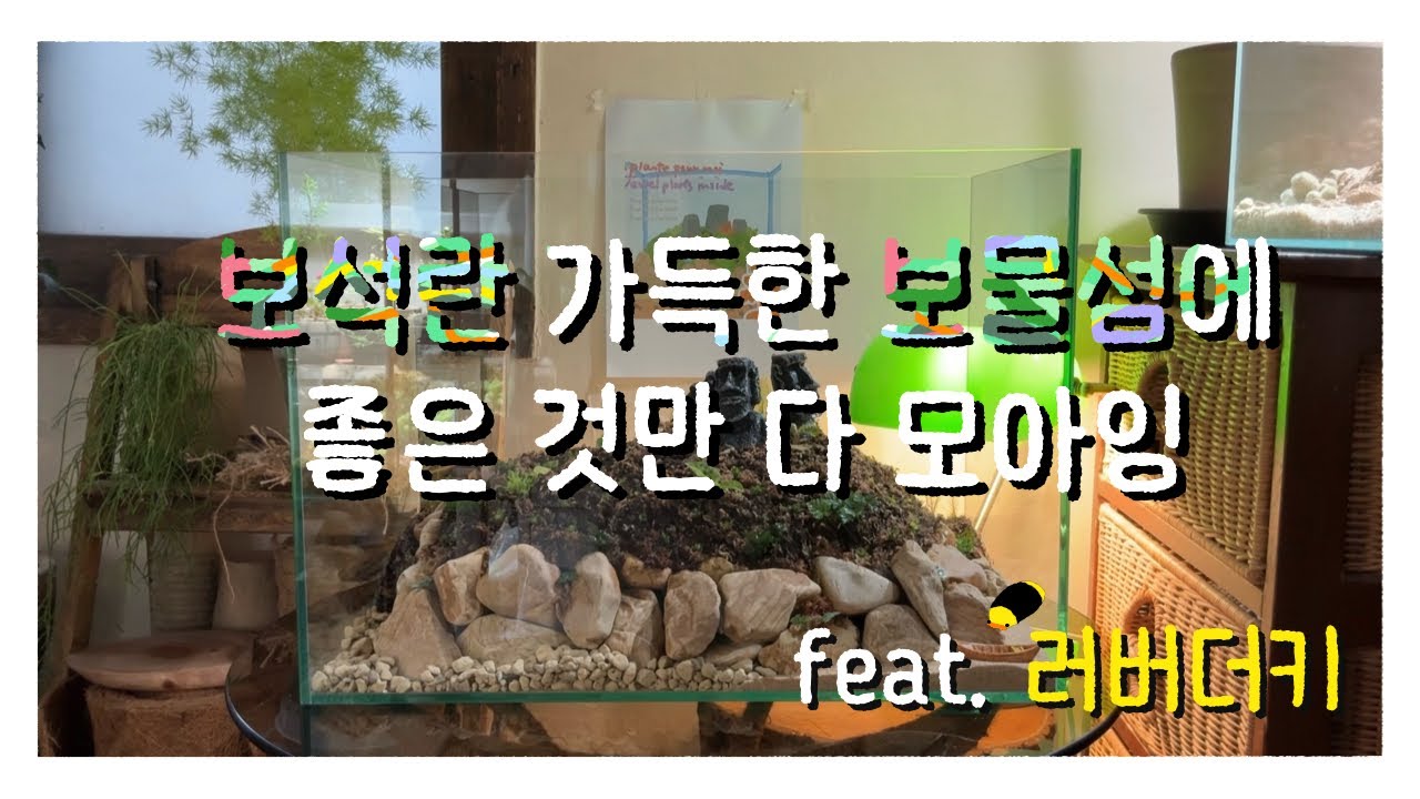 보석란 가득한 보물섬