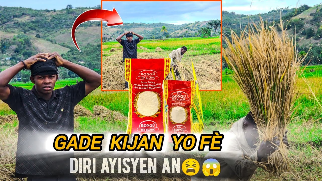 WA SEZI WÈ KIJAN YO FÉ DIRI AYITI NAN DEMIZAINE MPOKO JANM SEZI KONSA !!