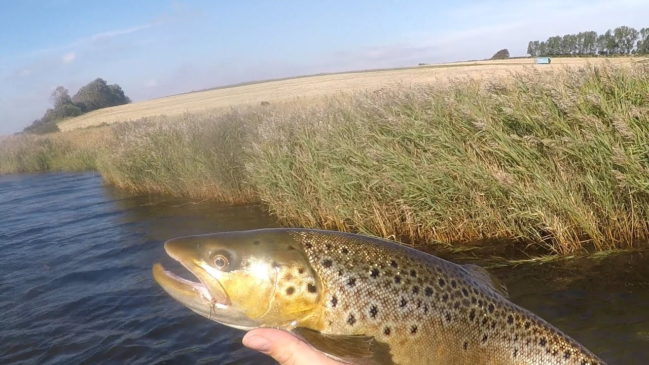 Flyfyn pro fishing guide
