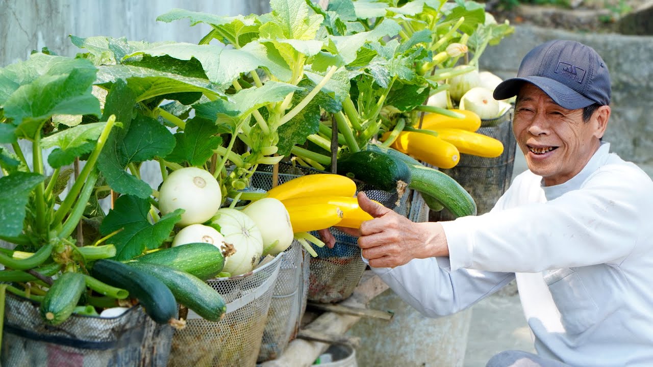 Мамы знают, что удивлены тем, как вырастить суперпродуктивные кабачки дома?