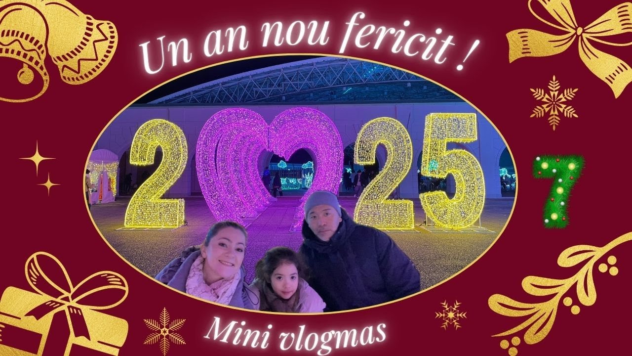 Craciunul  in Japonia | O seara  magică |Ultima  zi  de Mini Vlogmas #lifeinjapan #christmasinjapan