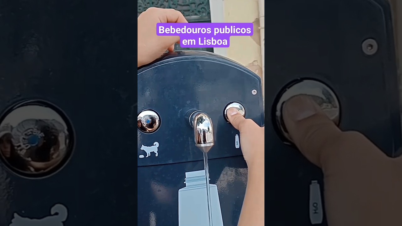 Conhe&ccedil;a Lisboa #portugal #viajarpelomundo #foryou #recomendado #europa #youtubeshorts